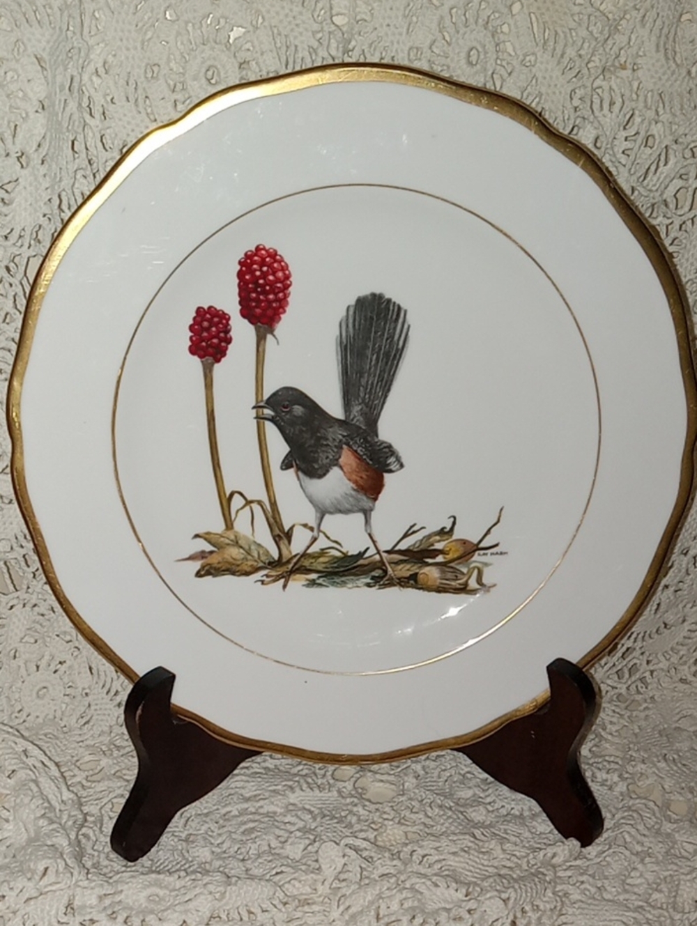 Spode Ray Harvey RUFOUS-SIDED TOWEE american Songbird Series